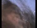 videos de los kauros