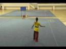 2007 guangdong youth provincial nangun 9.47