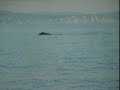 The Oceania Project