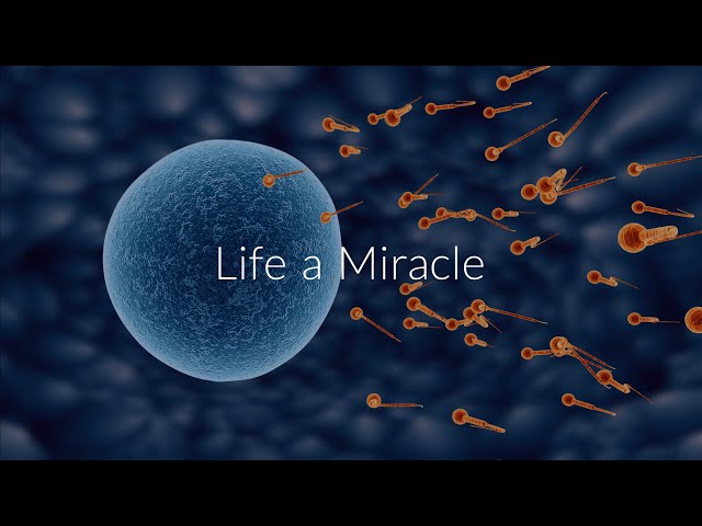 Life is a Miracle