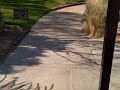 Golf: Approaching 14th on Mountain Course, Palm Springs, CA