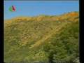 Oum El Bouaghi Forêt part 1