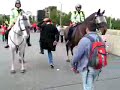 whatthebuckshow-this-is-not-fat-bloke-dancing-at-wembley.html