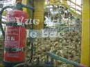 bettraves 2007