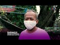 Dari Hobi Menanam Kaktus Lanjut Jadi Ladang Bisnis