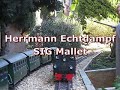 Herrmann Echtdampf