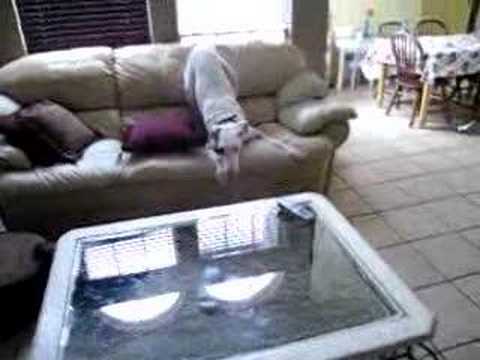 Great Dane Zoomies