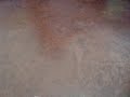 MOV04661