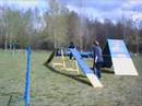 Agility-Ace Hrisne mladi�
