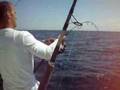 jigging session... Mai 2008 ! by bastia-offshore-fishing.com