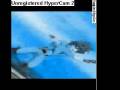 videos de bakugan theme song