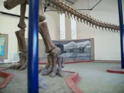 Argentinosaurus