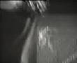 Tankcsapda - Rock a nevem