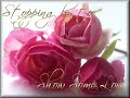 بياع الورد_أمل حجازي((RORO ENG)).wmv