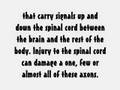 Barishtar Herbal Therapist - Quadriplegia, Paraplegia
