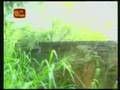 videos de Wanni  Oeration - 08/10/2008 Troops liberate Monarawewa