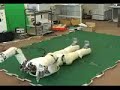日本製ロボットまるで生きているようでしょ。