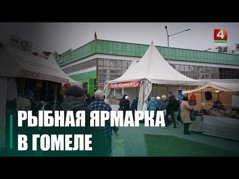 Осьминоги в заливке, сельдь в винном маринаде и другие деликатесы. Рыба Камчатки появилась в Гомеле! видео