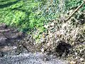 Chalford Walk Feb 2008 (Part 8)