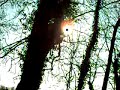 Chalford Walk Feb 2008 (Part 8)