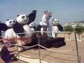 Jack Black at Cannes for Kung Fu Panda