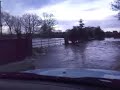 Abby stuck in a flood