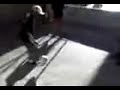 joga bonito maria leoni