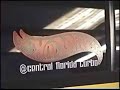 CTF EVO Dyno