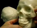 New Lightweight Life Size Skull -- Hard Foam New Lightweight Life Size Skull -- Hard Foam