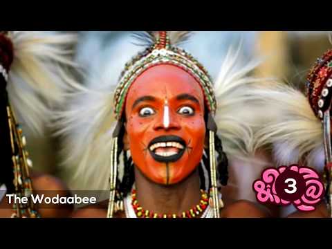 Human Sexuality – Sex, the Illustrated History Book Series