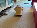 This is my late husband Anthony's wonderful Omnibot.  He needed a new rechargable battery, but otherwise works awesome.  He will be offered on eBay mid-to-lat May 2008.  Enjoy!