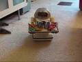 Tomy Omnibot 5402 From 1984 in Action!