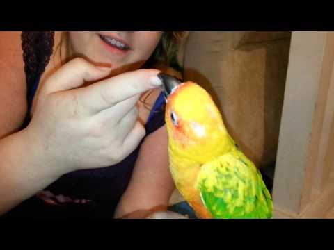 licking vagina