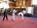 torneo selectivo shinkyokushin 2008   la plata