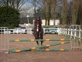 retour cavalerie