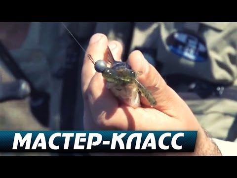 YouTube Трейлер
