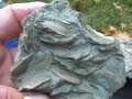 Fossil Hunting-Dry Dredgers Sept.field trip Ind. 2007 pt 2