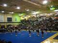 round lake high school cheerleaders