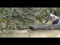 Alligator Attacks Boat