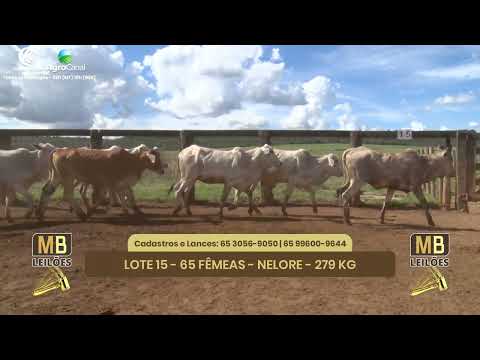 545� LEIL�O VIRTUAL MB LEIL�ES
