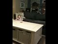 phildiol's video