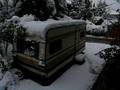 videos de Snow on Autumn in Switzerland!