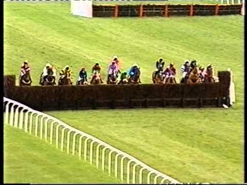 horses grand national