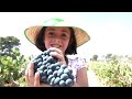 VIÑEDOS LA MADROÑERA - UNA BODEGA CON ALMA FEMENINA