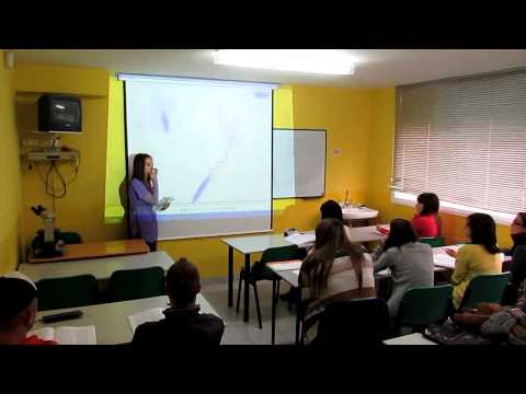 CURSOS PELUQUERIA CANINA, CURSOS ADIESTRADOR CANINO, CURSOS AUX VET  –  EN TERRASSA AMI-GOS INSTITUT