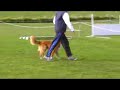 Sandi & Scoota Obedience Nationals 2008	