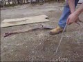 Injecting an Organosulfur Compound Injecting an Organosulfur Compound