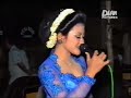 cah sapen"ojo cidro"
