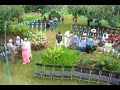 Wedding Stop Motion 2 (photos by Tippi)