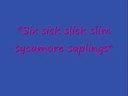 crazy language